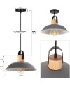 iDEGU Lot de 2 Suspension Luminaire Industrielle, 27CM Rétro Lustre Plafonnier en Métal E27 Éclairage de Plafond Vintage Lampe