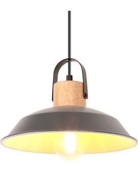 iDEGU Lot de 2 Suspension Luminaire Industrielle, 27CM Rétro Lustre Plafonnier en Métal E27 Éclairage de Plafond Vintage Lampe