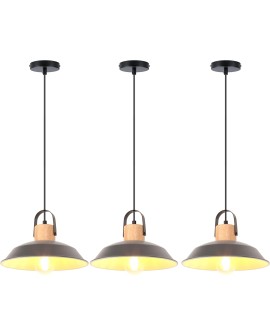 iDEGU Lot de 2 Suspension Luminaire Industrielle, 27CM Rétro Lustre Plafonnier en Métal E27 Éclairage de Plafond Vintage Lampe