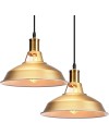 iDEGU Lot de 2 Suspension Luminaire Industrielle, 27CM Rétro Lustre Plafonnier en Métal E27 Éclairage de Plafond Vintage Lampe