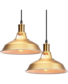 iDEGU Lot de 2 Suspension Luminaire Industrielle, 27CM Rétro Lustre Plafonnier en Métal E27 Éclairage de Plafond Vintage Lampe