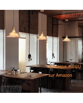 iDEGU Lot de 2 Suspension Luminaire Industrielle, 27CM Rétro Lustre Plafonnier en Métal E27 Éclairage de Plafond Vintage Lampe