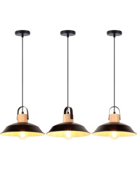 iDEGU Lot de 2 Suspension Luminaire Industrielle, 27CM Rétro Lustre Plafonnier en Métal E27 Éclairage de Plafond Vintage Lampe