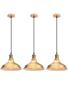 iDEGU Lot de 2 Suspension Luminaire Industrielle, 27CM Rétro Lustre Plafonnier en Métal E27 Éclairage de Plafond Vintage Lampe