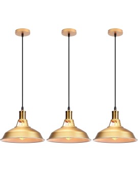 iDEGU Lot de 2 Suspension Luminaire Industrielle, 27CM Rétro Lustre Plafonnier en Métal E27 Éclairage de Plafond Vintage Lampe