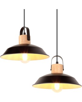 iDEGU Lot de 2 Suspension Luminaire Industrielle, 27CM Rétro Lustre Plafonnier en Métal E27 Éclairage de Plafond Vintage Lampe