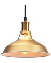 iDEGU Lot de 2 Suspension Luminaire Industrielle, 27CM Rétro Lustre Plafonnier en Métal E27 Éclairage de Plafond Vintage Lampe