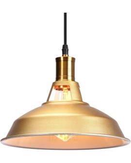 iDEGU Lot de 2 Suspension Luminaire Industrielle, 27CM Rétro Lustre Plafonnier en Métal E27 Éclairage de Plafond Vintage Lampe