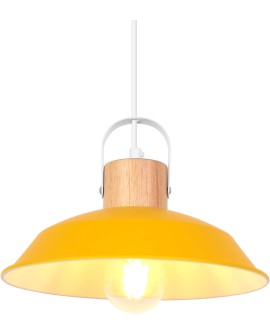 iDEGU Lot de 2 Suspension Luminaire Industrielle, 27CM Rétro Lustre Plafonnier en Métal E27 Éclairage de Plafond Vintage Lampe