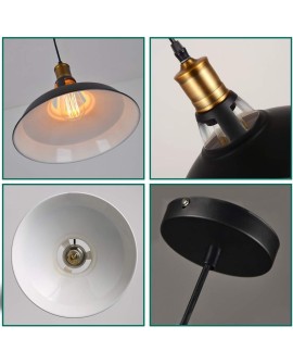 iDEGU Lot de 2 Suspension Luminaire Industrielle, 27CM Rétro Lustre Plafonnier en Métal E27 Éclairage de Plafond Vintage Lampe