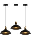 iDEGU Lot de 2 Suspension Luminaire Industrielle, 27CM Rétro Lustre Plafonnier en Métal E27 Éclairage de Plafond Vintage Lampe