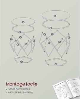 VASAGLE Table Basse Ronde, Lot de 2, Table d’Appoint, Bout de Canapé, Style Moderne, Plateau Amovible, Cadre en Acier, pour