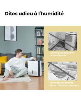 COMFEE' Déshumidificateur Compacte, Absorbe jusqu'à 12L/jour, Deshumidificateur d air avec Roulettes et Poignée, Minuterie 24H,