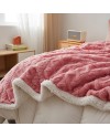 TIANSHU Couverture Polaire Double Couche, Plaid Polaire Duveteux Plaid Canape Couvertures Doux Confortables Haute Qualité