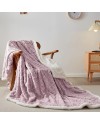 TIANSHU Couverture Polaire Double Couche, Plaid Polaire Duveteux Plaid Canape Couvertures Doux Confortables Haute Qualité