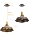 iDEGU Lot de 2 Suspension Luminaire Industrielle, 27CM Rétro Lustre Plafonnier en Métal E27 Éclairage de Plafond Vintage Lampe