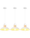 iDEGU Lot de 2 Suspension Luminaire Industrielle, 27CM Rétro Lustre Plafonnier en Métal E27 Éclairage de Plafond Vintage Lampe