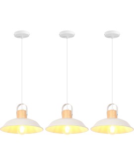 iDEGU Lot de 2 Suspension Luminaire Industrielle, 27CM Rétro Lustre Plafonnier en Métal E27 Éclairage de Plafond Vintage Lampe