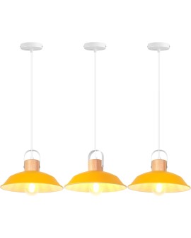 iDEGU Lot de 2 Suspension Luminaire Industrielle, 27CM Rétro Lustre Plafonnier en Métal E27 Éclairage de Plafond Vintage Lampe