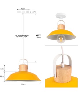 iDEGU Lot de 2 Suspension Luminaire Industrielle, 27CM Rétro Lustre Plafonnier en Métal E27 Éclairage de Plafond Vintage Lampe