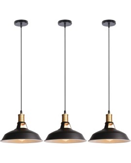 iDEGU Lot de 2 Suspension Luminaire Industrielle, 27CM Rétro Lustre Plafonnier en Métal E27 Éclairage de Plafond Vintage Lampe