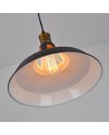 iDEGU Lot de 2 Suspension Luminaire Industrielle, 27CM Rétro Lustre Plafonnier en Métal E27 Éclairage de Plafond Vintage Lampe