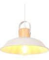 iDEGU Lot de 2 Suspension Luminaire Industrielle, 27CM Rétro Lustre Plafonnier en Métal E27 Éclairage de Plafond Vintage Lampe