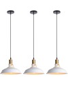 iDEGU Lot de 2 Suspension Luminaire Industrielle, 27CM Rétro Lustre Plafonnier en Métal E27 Éclairage de Plafond Vintage Lampe