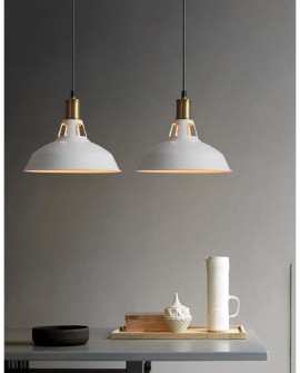 iDEGU Lot de 2 Suspension Luminaire Industrielle, 27CM Rétro Lustre Plafonnier en Métal E27 Éclairage de Plafond Vintage Lampe