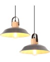 iDEGU Lot de 2 Suspension Luminaire Industrielle, 27CM Rétro Lustre Plafonnier en Métal E27 Éclairage de Plafond Vintage Lampe